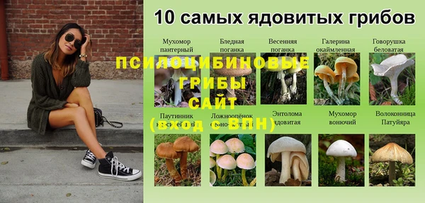 прущий лед Сосновый Бор