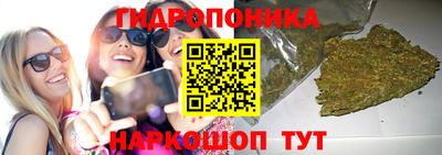 spice Заводоуковск