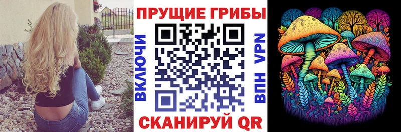 Псилоцибиновые грибы мухоморы  где можно купить   Надым 