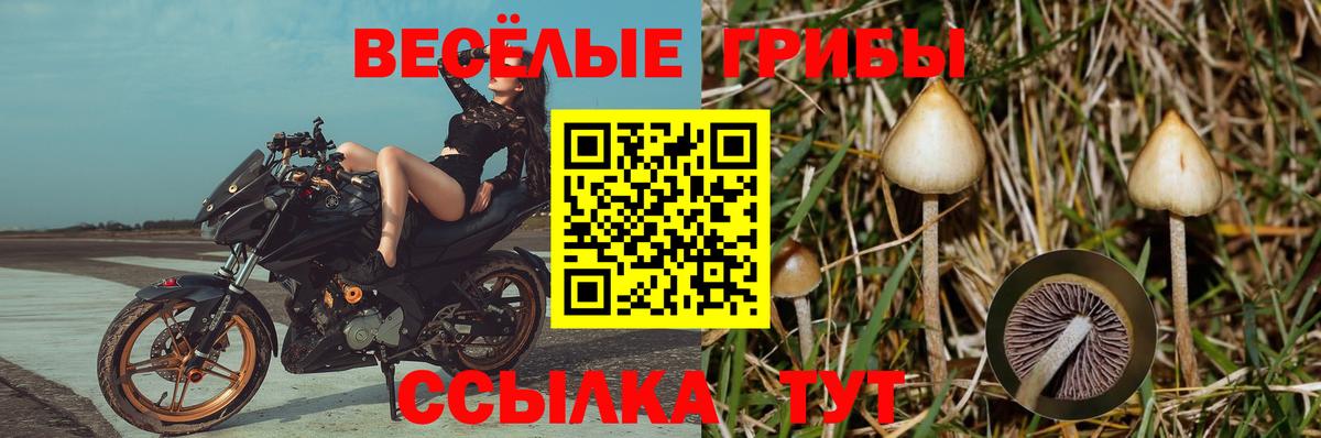 Псилоцибиновые грибы MAGIC MUSHROOMS  Псилоцибиновые грибы GOLDEN TEACHER  Вход с VPN  Надым 