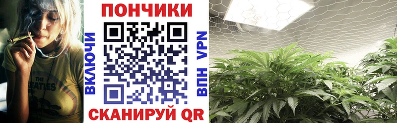 Шишки марихуана тримм  наркотики  Надым 